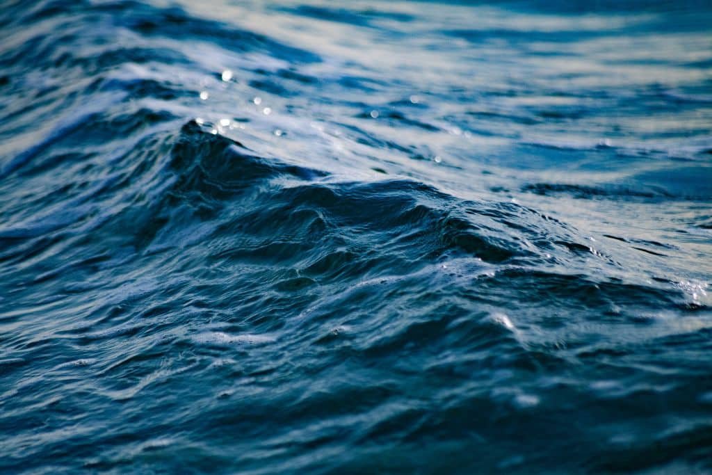 Humanity crosses seventh planetary boundary with ocean acidification now a critical concern