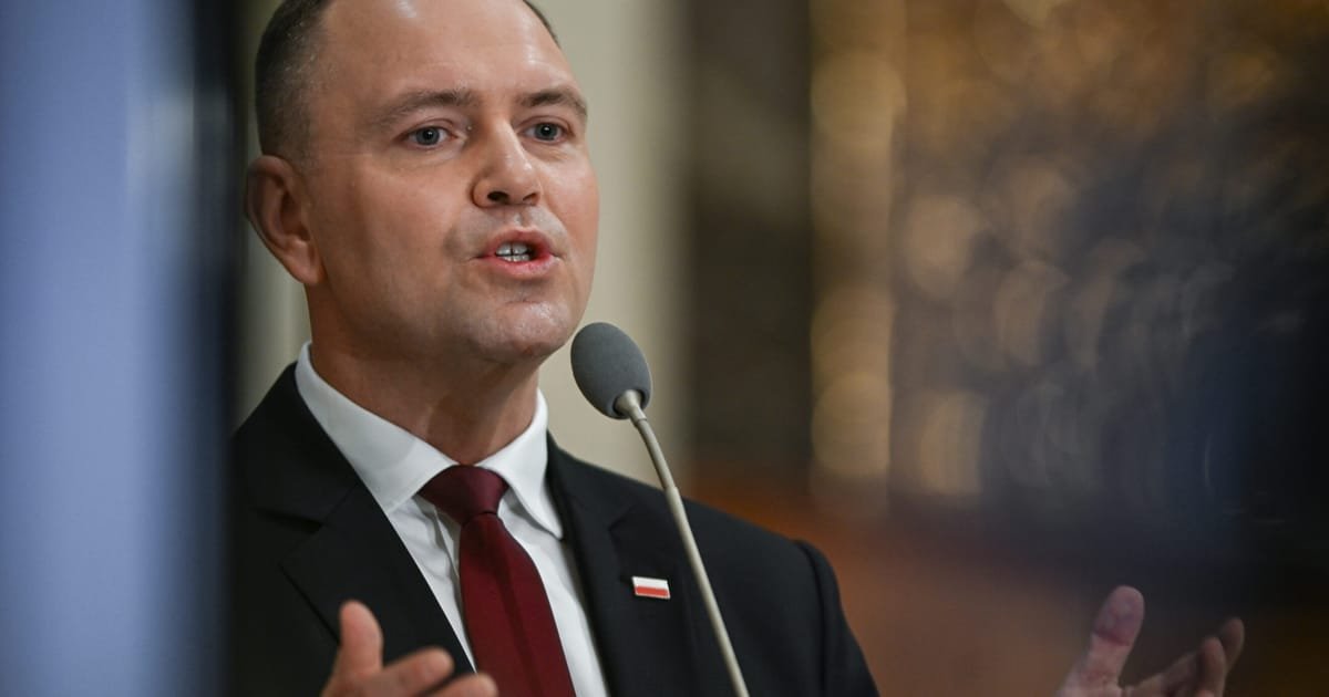 Poland's government proposes reforms to judicial system amid backlash from PiS party